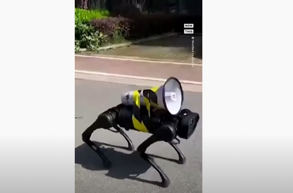 Ռոբոտ շներն օգնում են Շանհայում պարետային ժամ պահպանել